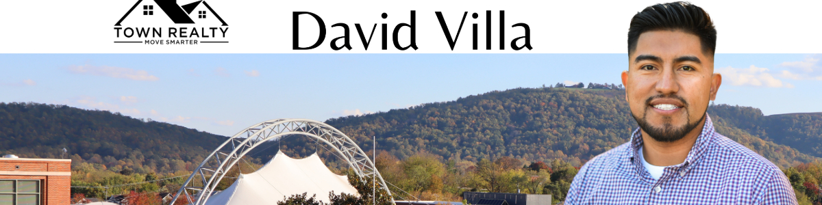 David Villa